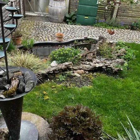 Il Giardino